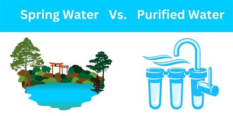 spring cycle testing|testing spring water for drinking.